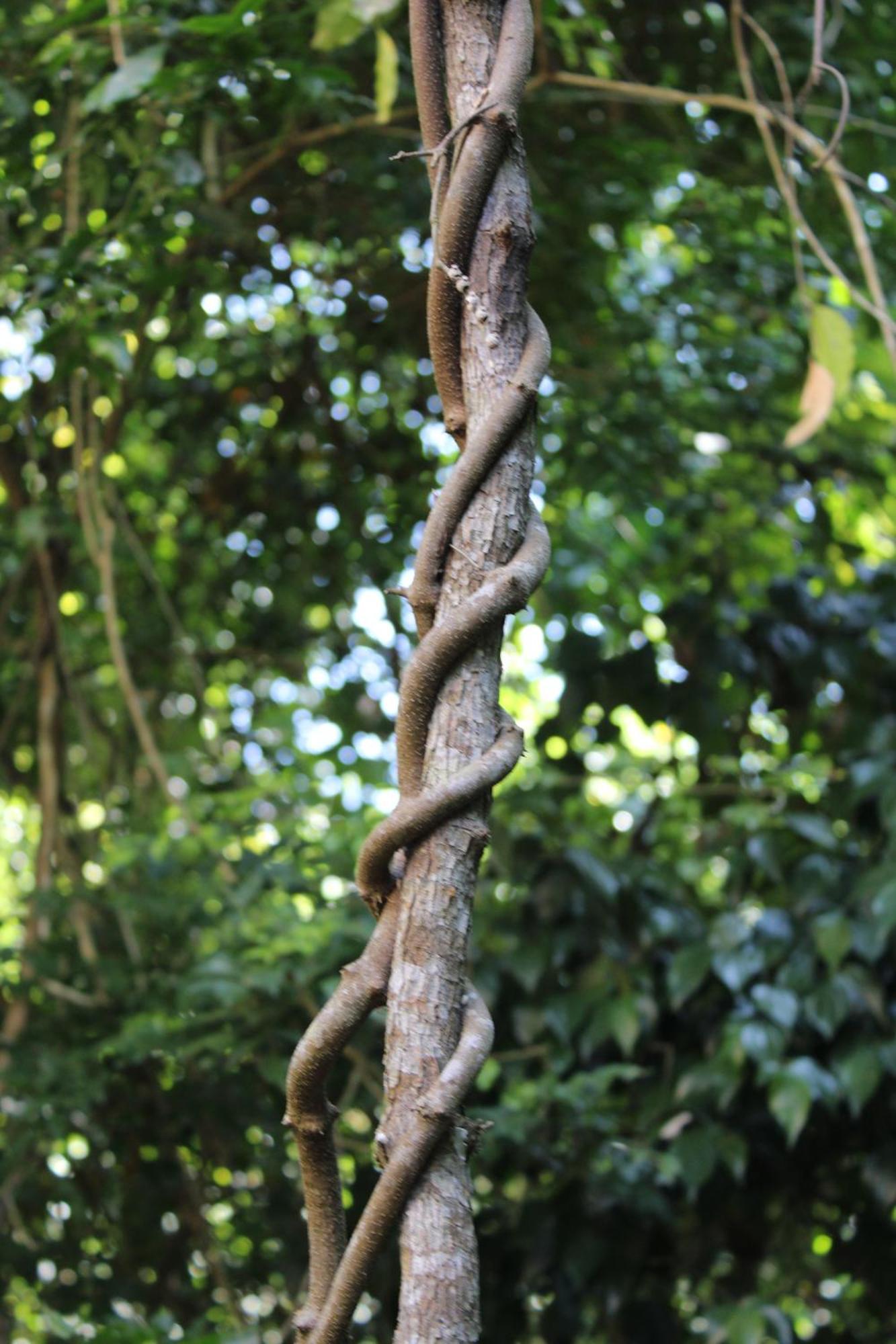 Posada Del Cerro 埃尔莱马特 外观 照片
